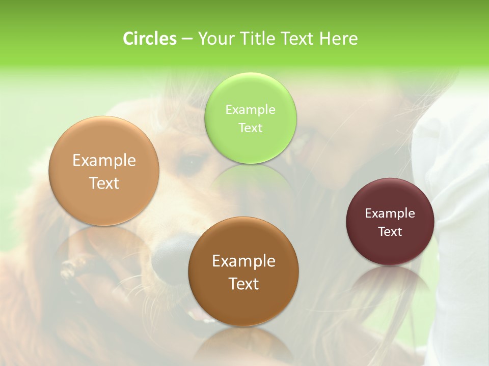 Cheerful Park Animal PowerPoint Template