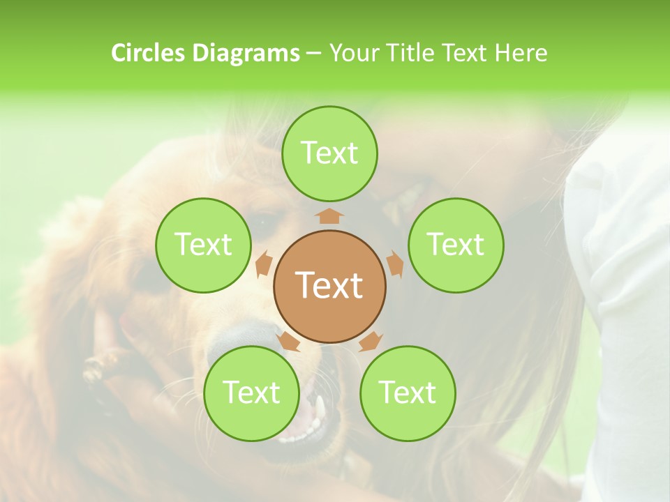 Cheerful Park Animal PowerPoint Template