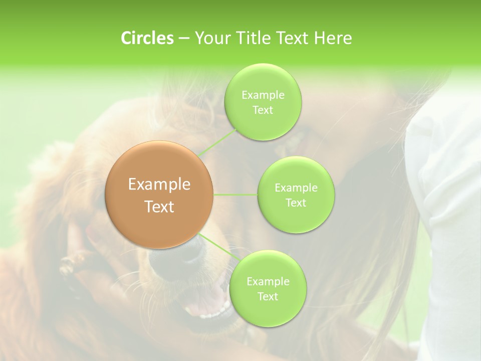 Cheerful Park Animal PowerPoint Template