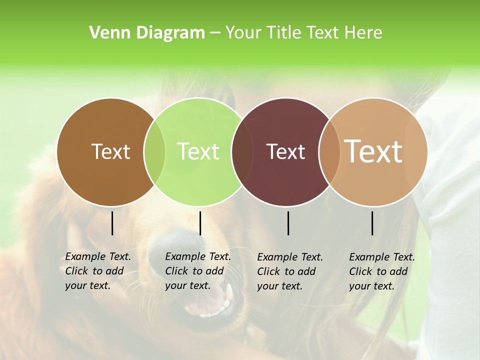 Cheerful Park Animal PowerPoint Template