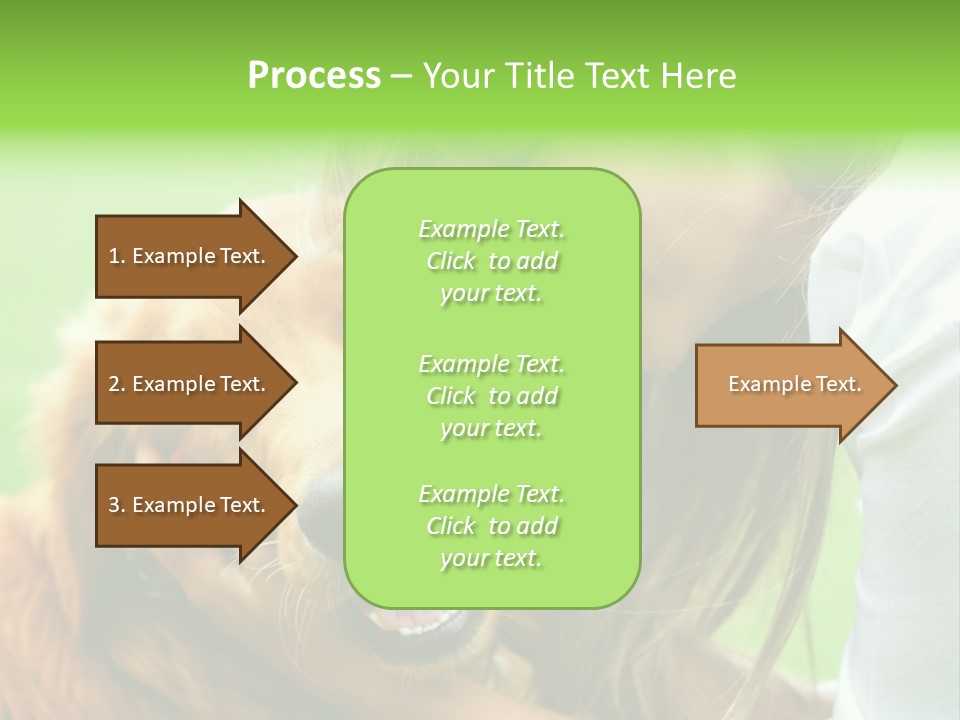 Cheerful Park Animal PowerPoint Template