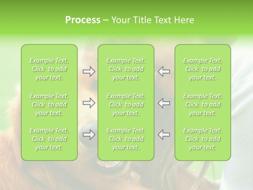 Cheerful Park Animal PowerPoint Template