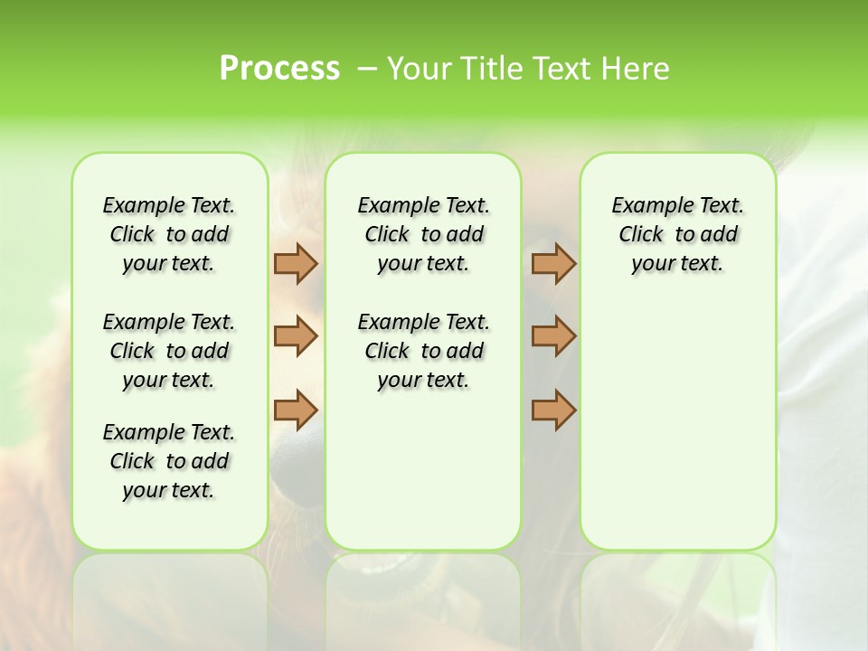 Cheerful Park Animal PowerPoint Template