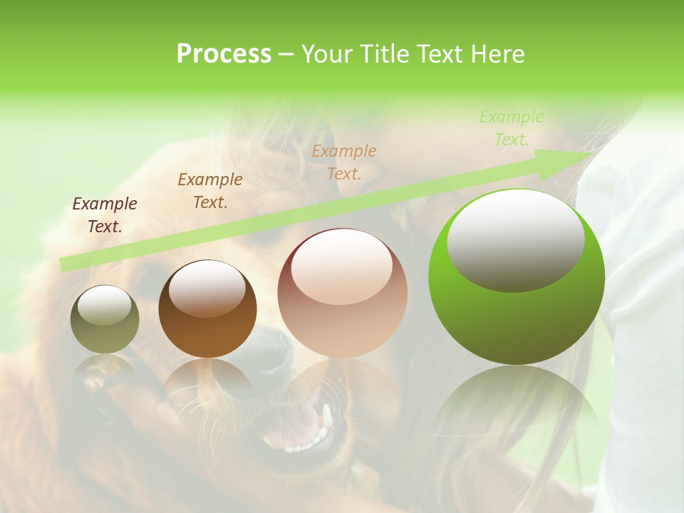 Cheerful Park Animal PowerPoint Template