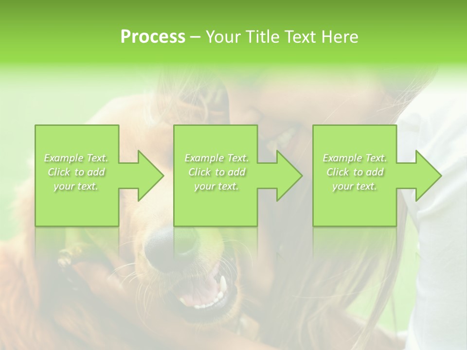 Cheerful Park Animal PowerPoint Template