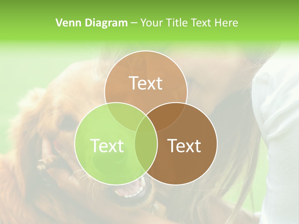 Cheerful Park Animal PowerPoint Template