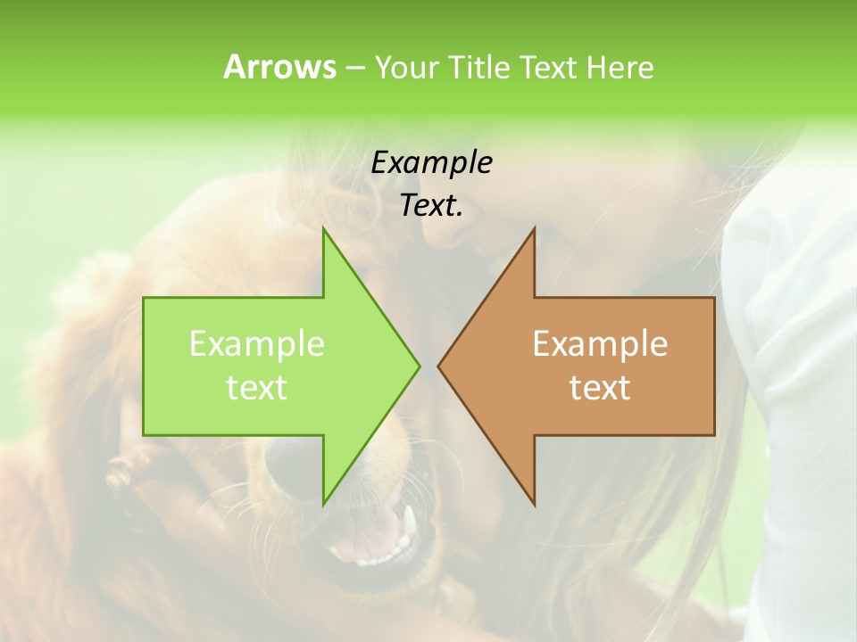 Cheerful Park Animal PowerPoint Template