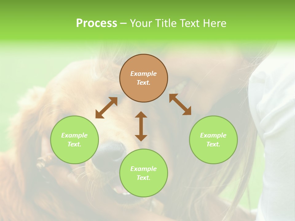 Cheerful Park Animal PowerPoint Template