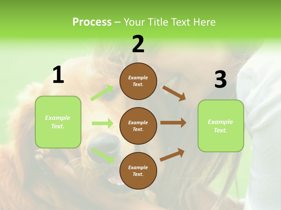 Cheerful Park Animal PowerPoint Template