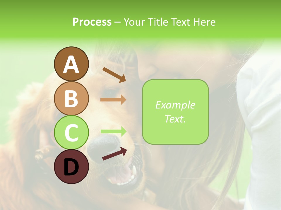 Cheerful Park Animal PowerPoint Template