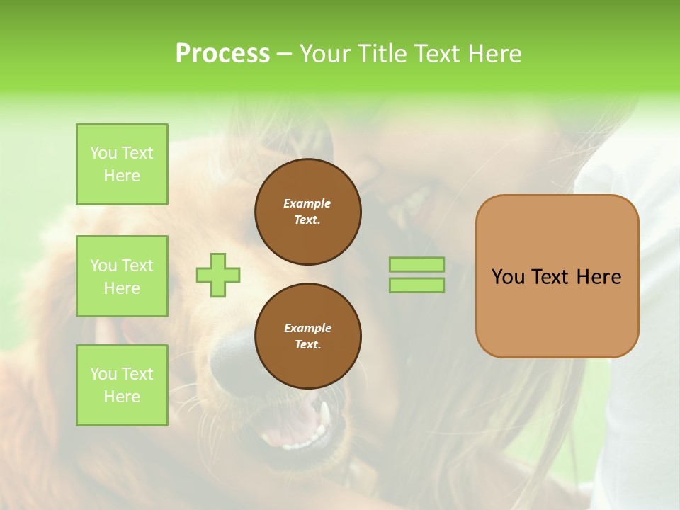 Cheerful Park Animal PowerPoint Template