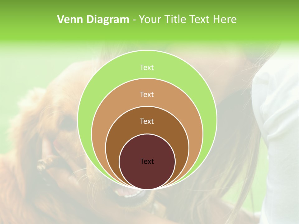 Cheerful Park Animal PowerPoint Template