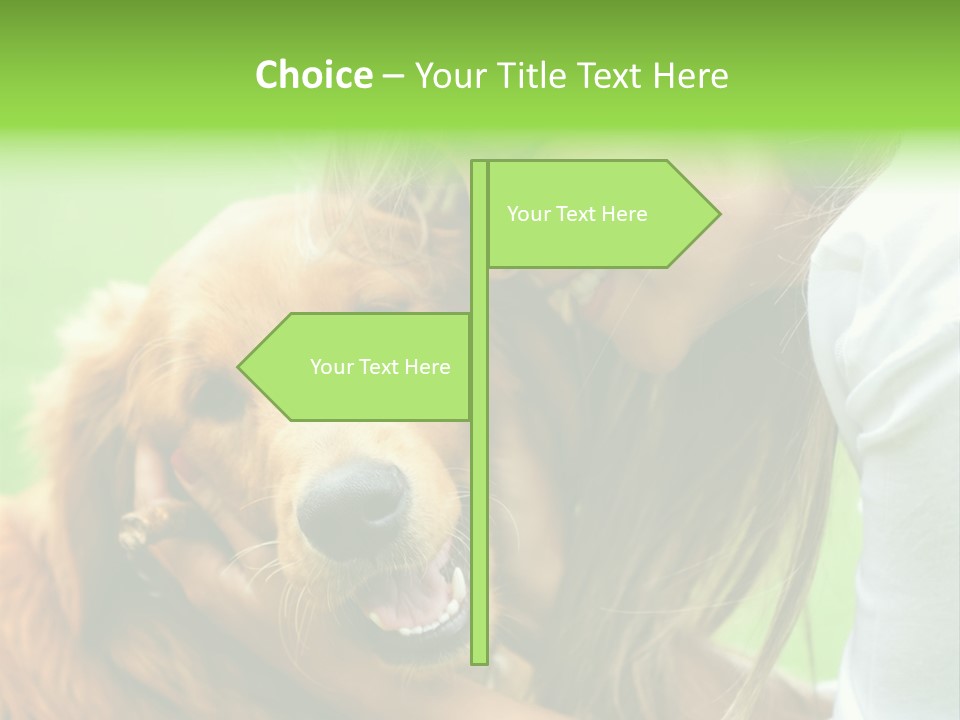 Cheerful Park Animal PowerPoint Template