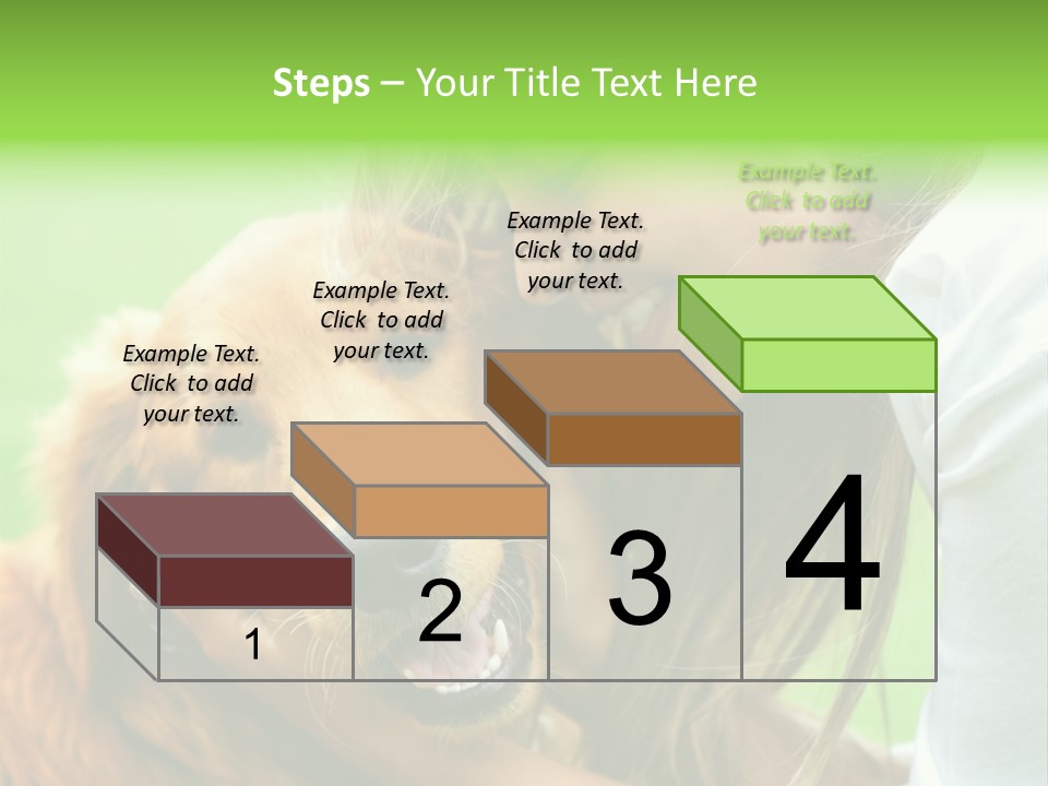 Cheerful Park Animal PowerPoint Template