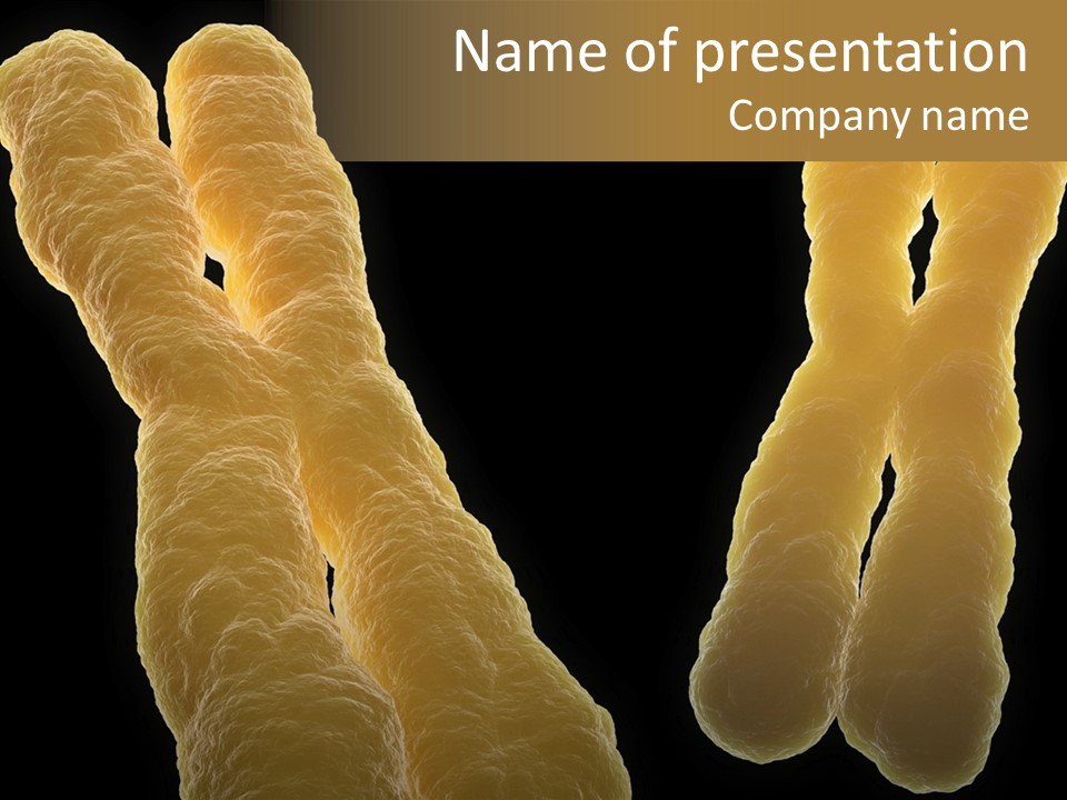 Evolution Healthcare Clone PowerPoint Template