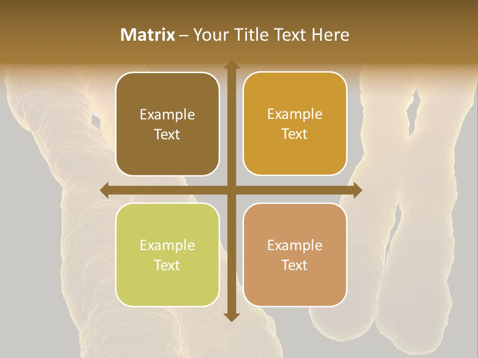 Evolution Healthcare Clone PowerPoint Template