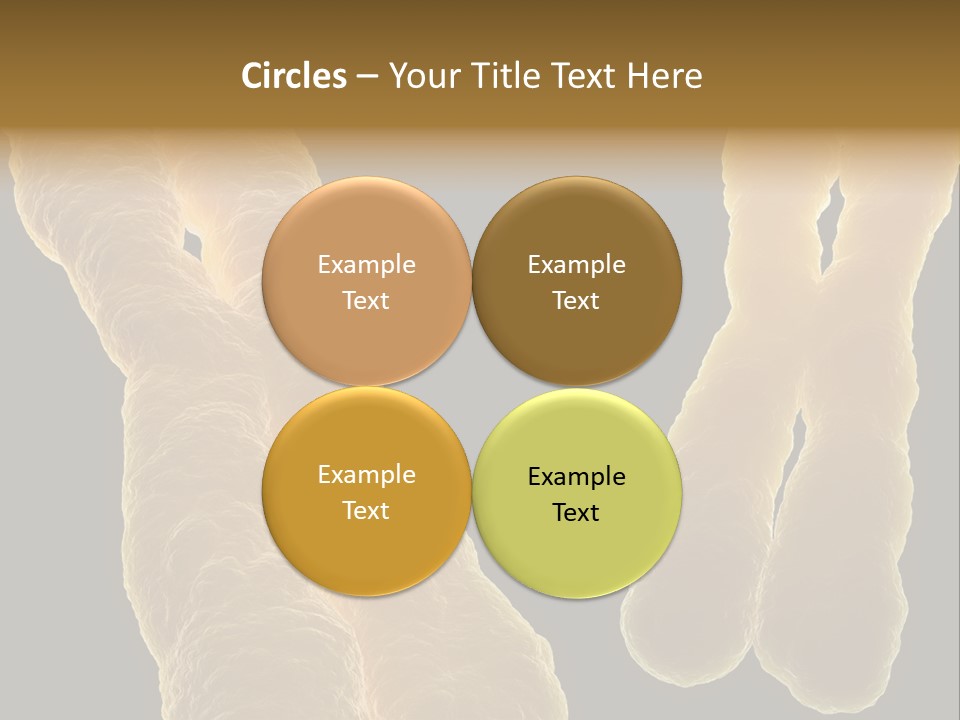 Evolution Healthcare Clone PowerPoint Template