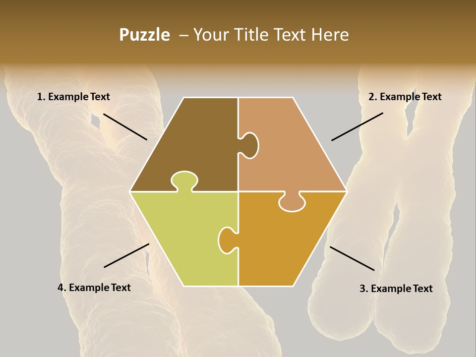 Evolution Healthcare Clone PowerPoint Template