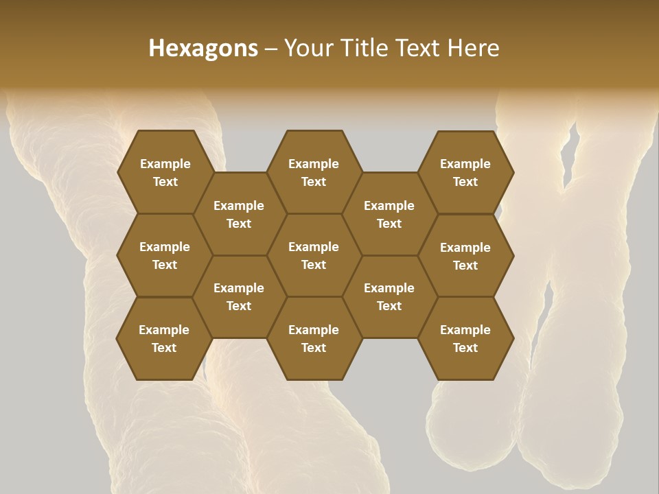 Evolution Healthcare Clone PowerPoint Template