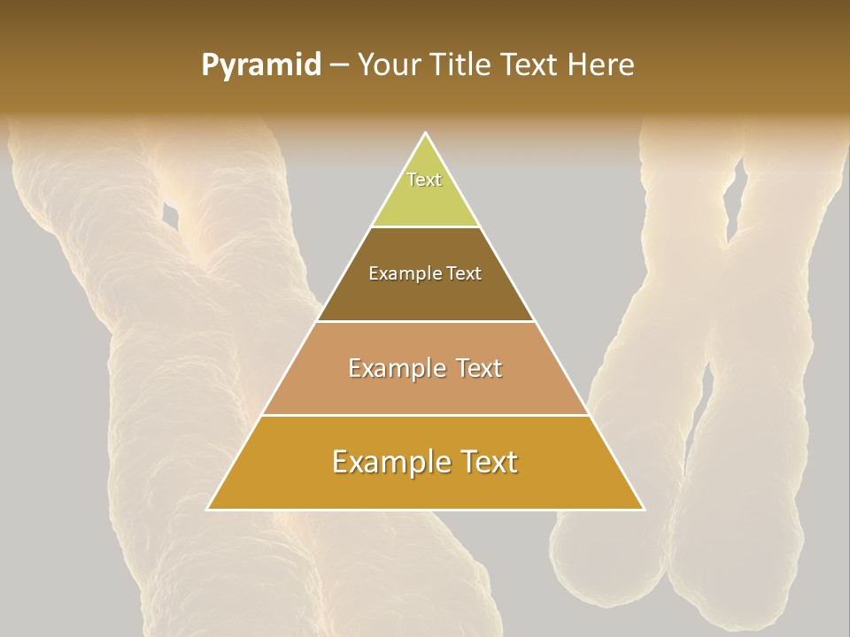 Evolution Healthcare Clone PowerPoint Template