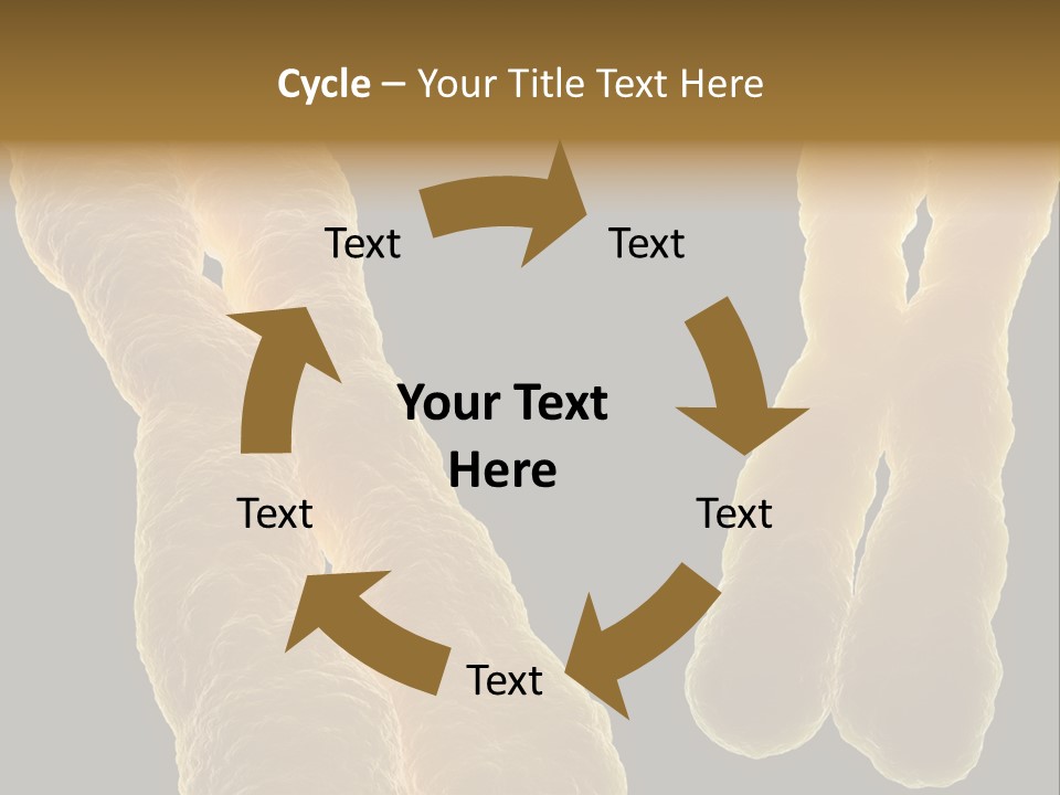 Evolution Healthcare Clone PowerPoint Template