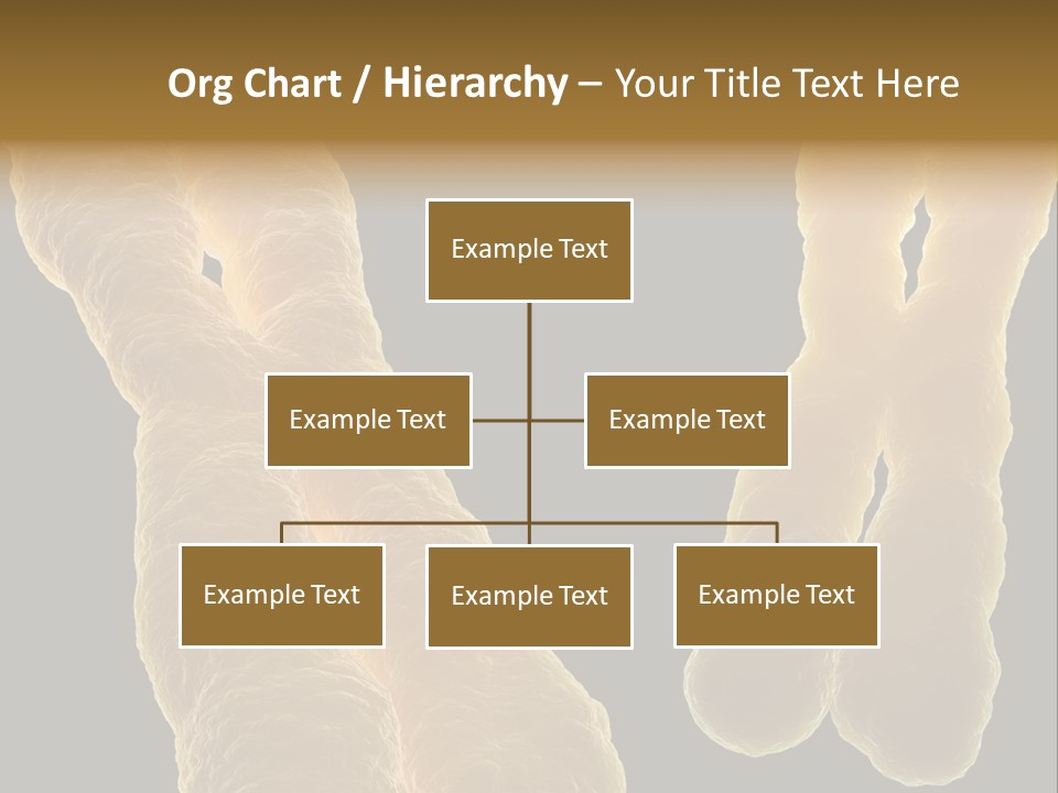 Evolution Healthcare Clone PowerPoint Template