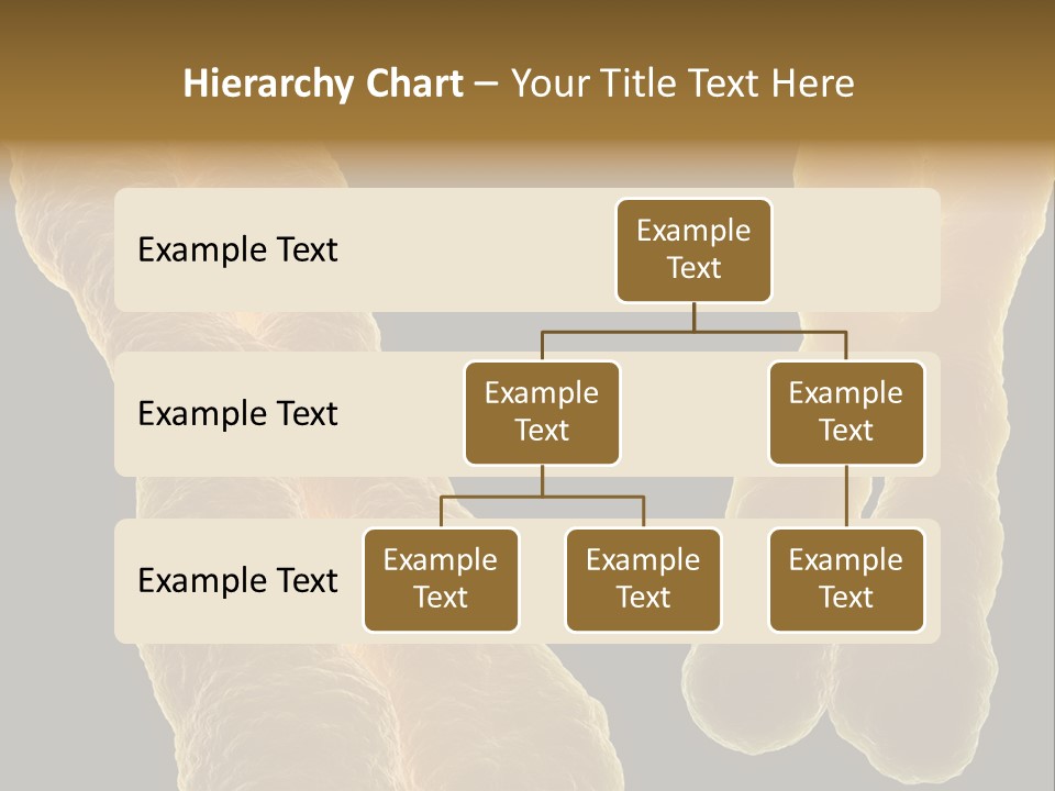 Evolution Healthcare Clone PowerPoint Template