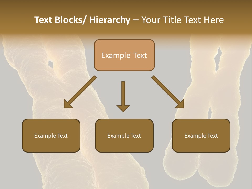 Evolution Healthcare Clone PowerPoint Template