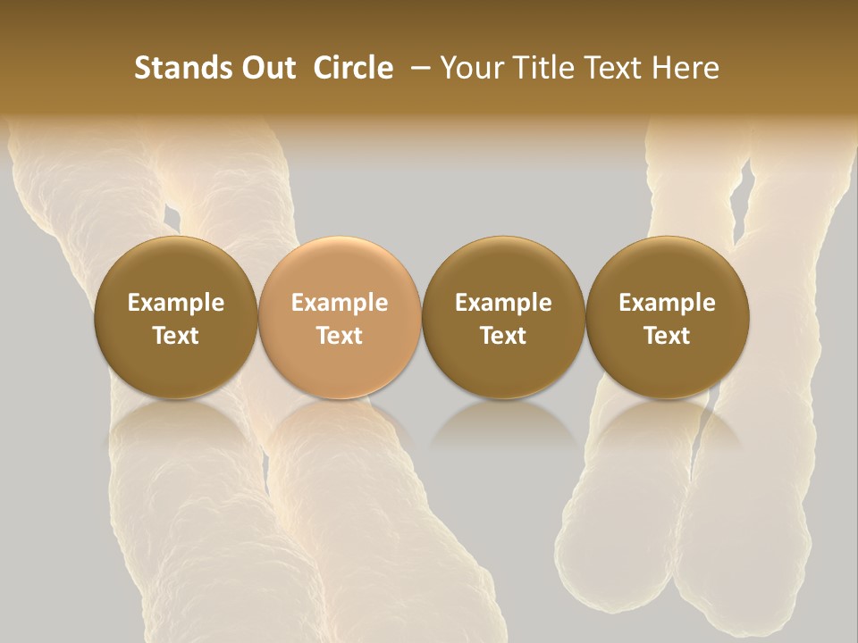 Evolution Healthcare Clone PowerPoint Template