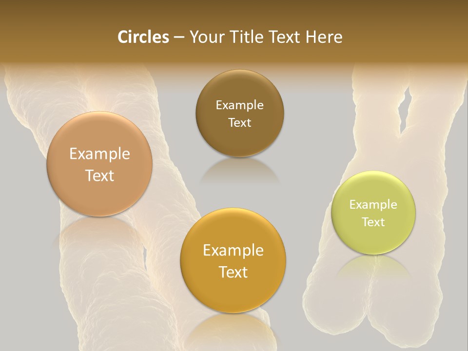 Evolution Healthcare Clone PowerPoint Template