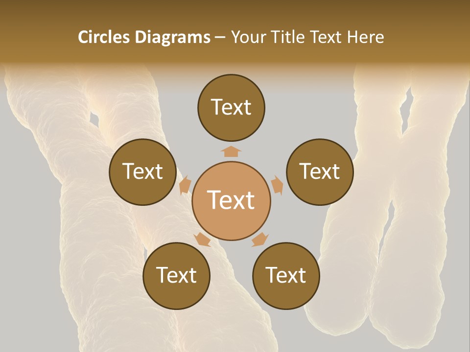 Evolution Healthcare Clone PowerPoint Template