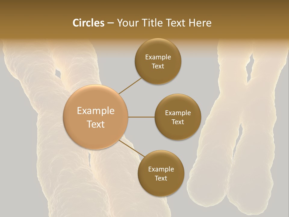 Evolution Healthcare Clone PowerPoint Template