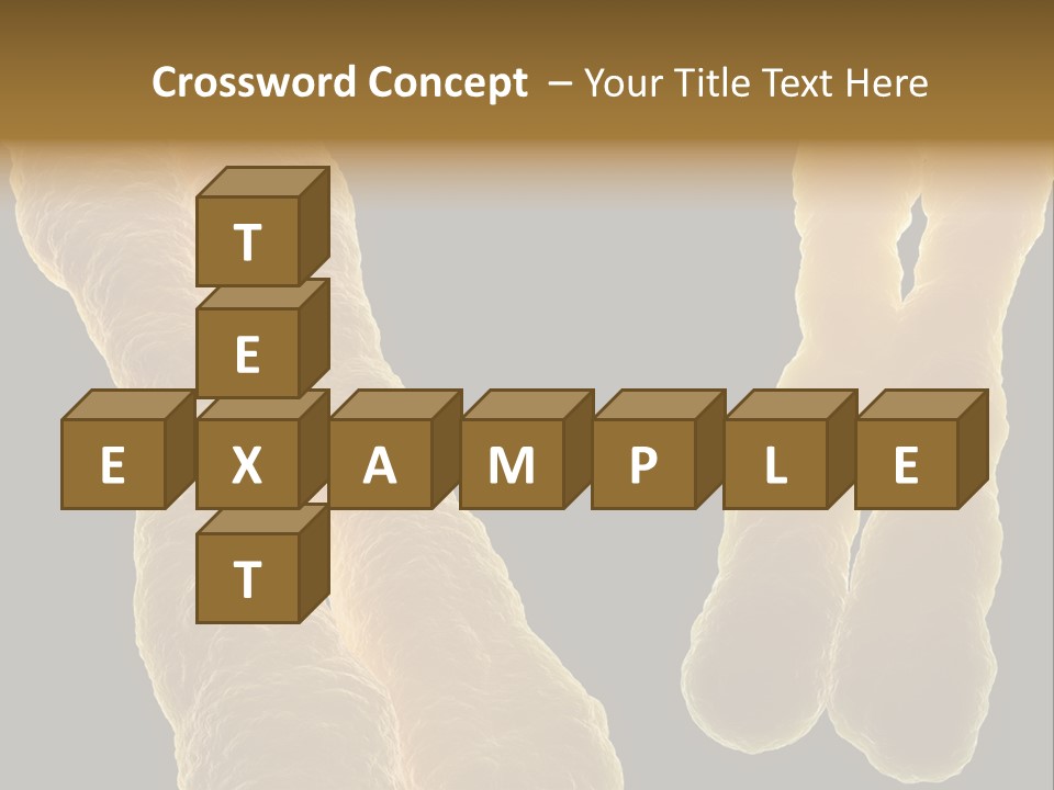 Evolution Healthcare Clone PowerPoint Template