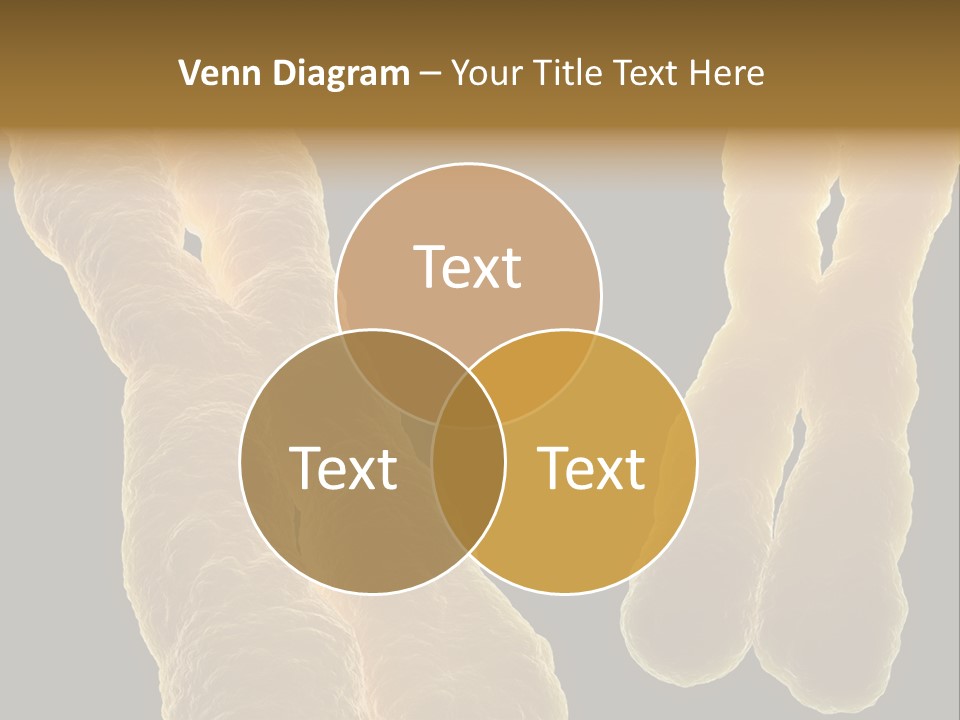 Evolution Healthcare Clone PowerPoint Template
