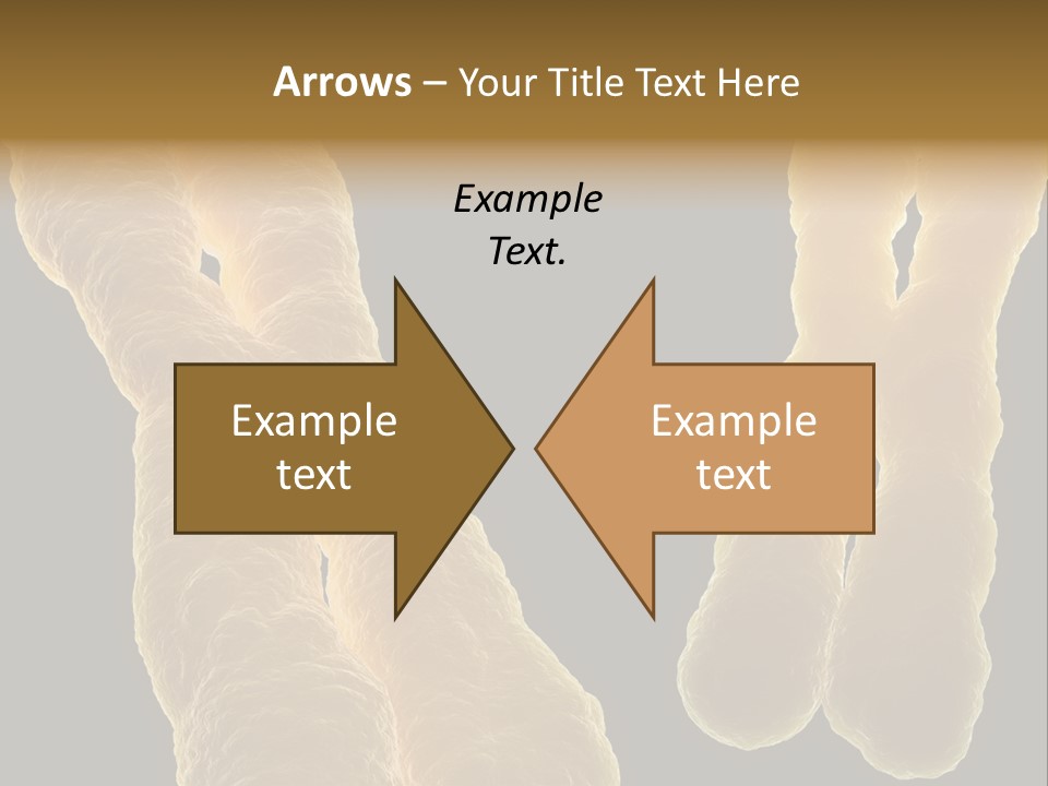 Evolution Healthcare Clone PowerPoint Template