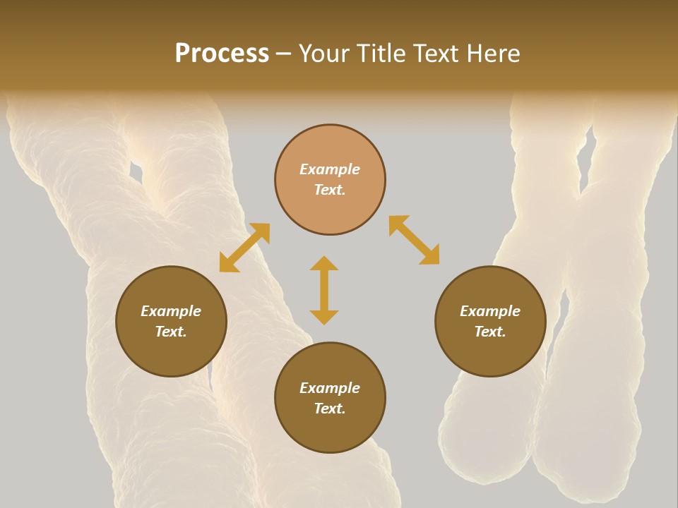 Evolution Healthcare Clone PowerPoint Template