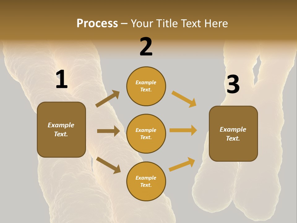 Evolution Healthcare Clone PowerPoint Template