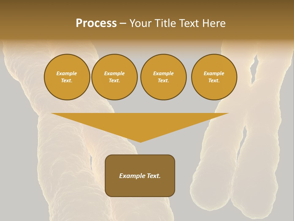 Evolution Healthcare Clone PowerPoint Template