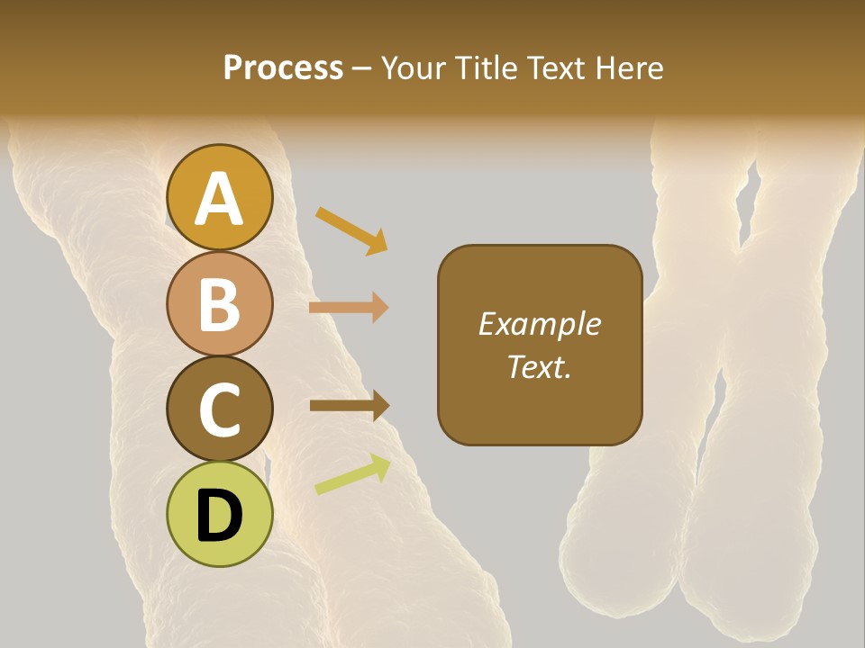 Evolution Healthcare Clone PowerPoint Template