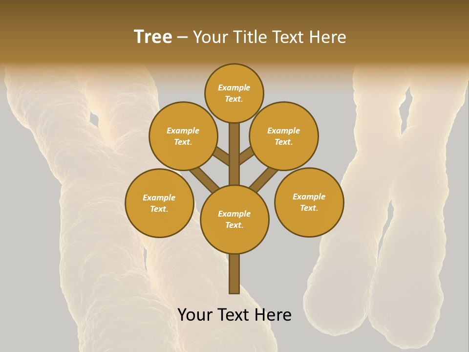 Evolution Healthcare Clone PowerPoint Template