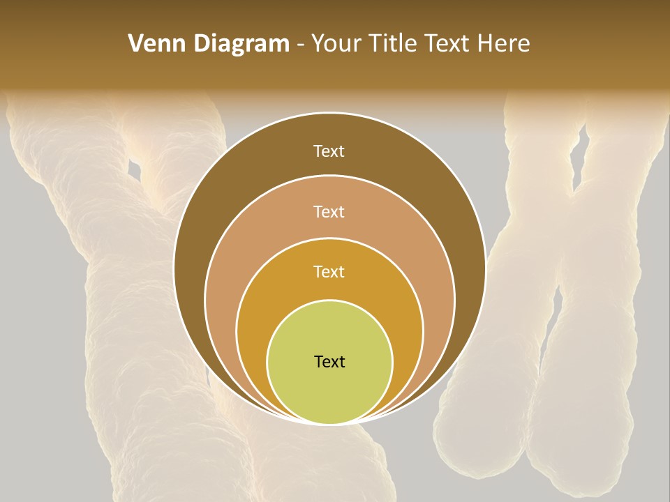 Evolution Healthcare Clone PowerPoint Template
