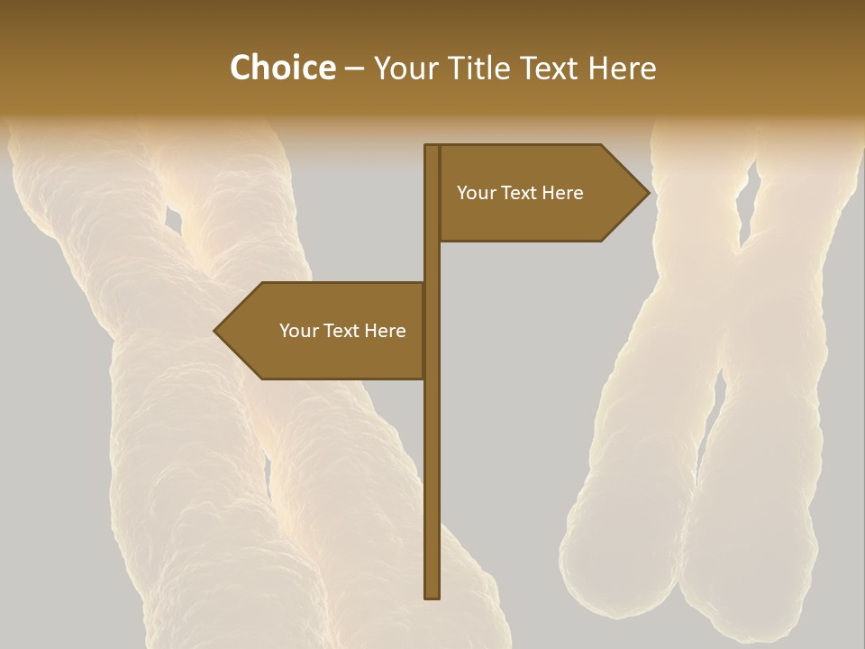 Evolution Healthcare Clone PowerPoint Template