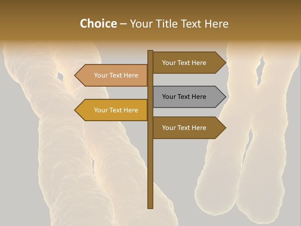 Evolution Healthcare Clone PowerPoint Template
