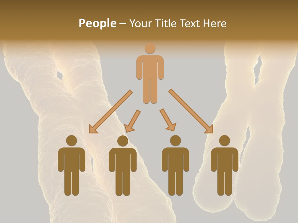 Evolution Healthcare Clone PowerPoint Template