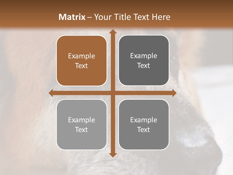 Eyes Vertical Tired PowerPoint Template