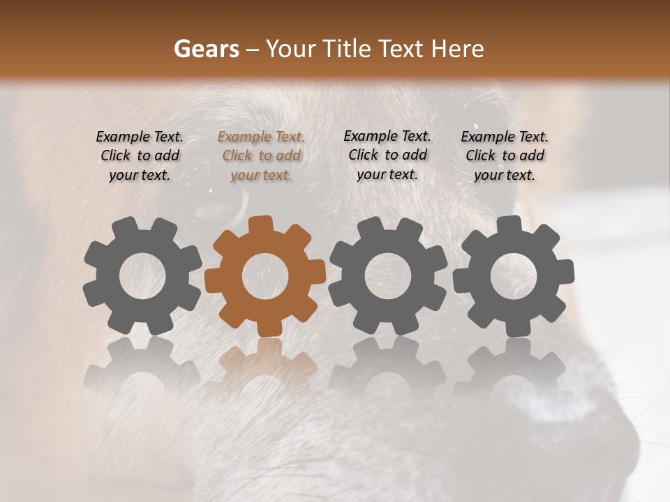 Eyes Vertical Tired PowerPoint Template