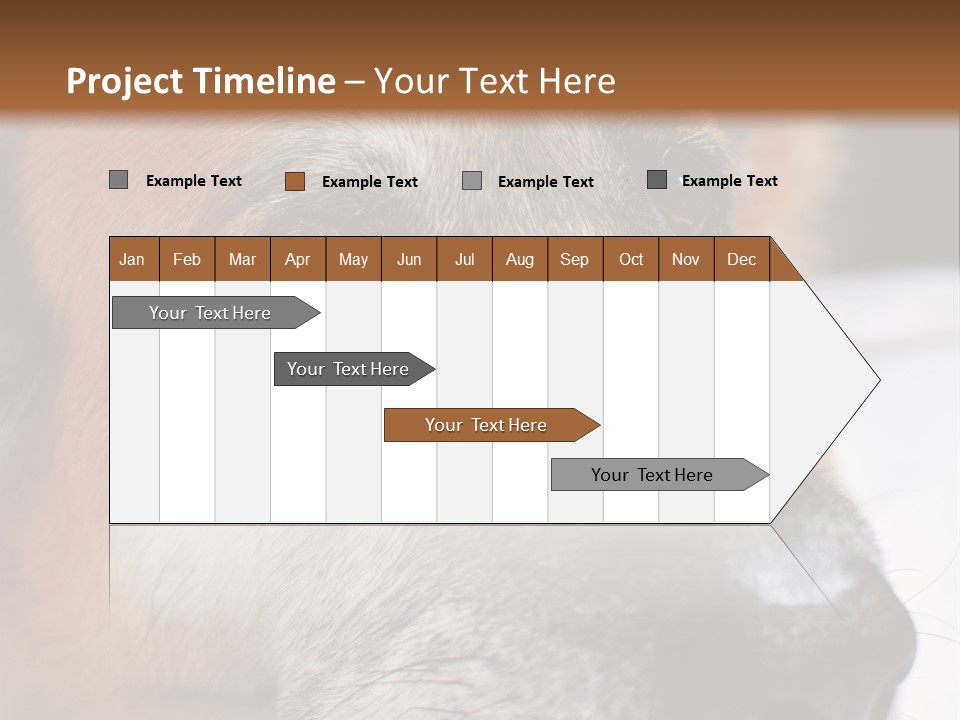 Eyes Vertical Tired PowerPoint Template