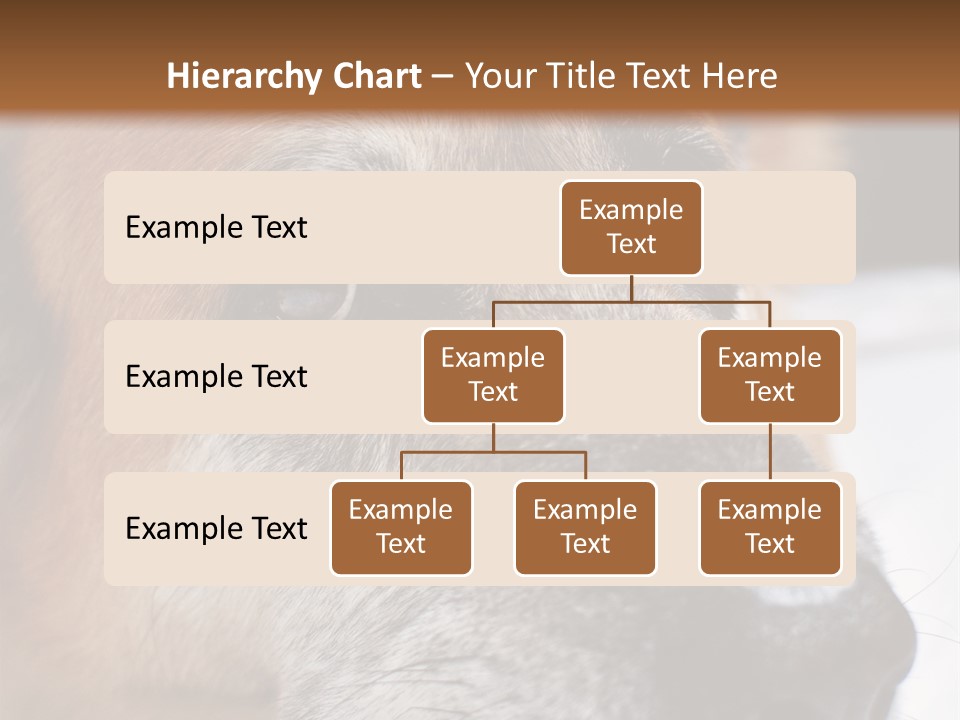 Eyes Vertical Tired PowerPoint Template