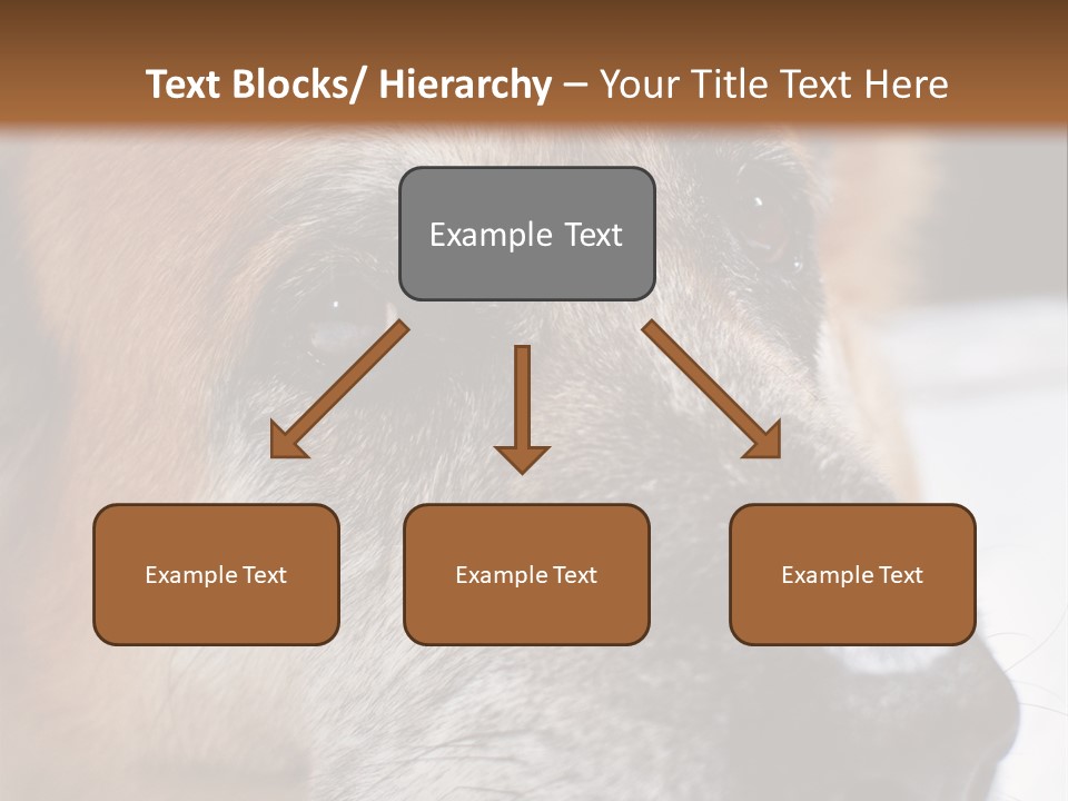Eyes Vertical Tired PowerPoint Template