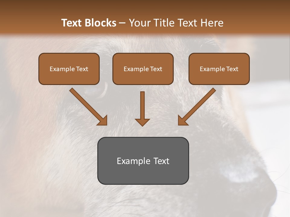 Eyes Vertical Tired PowerPoint Template
